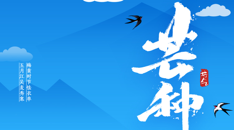 二十四節氣之“芒種”